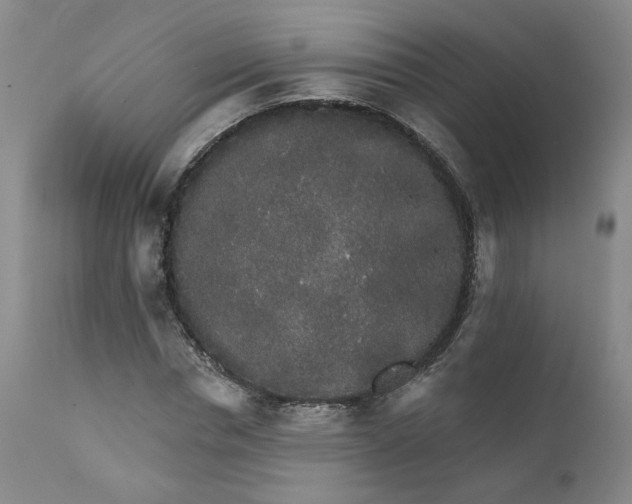 X0000112430826200909041434