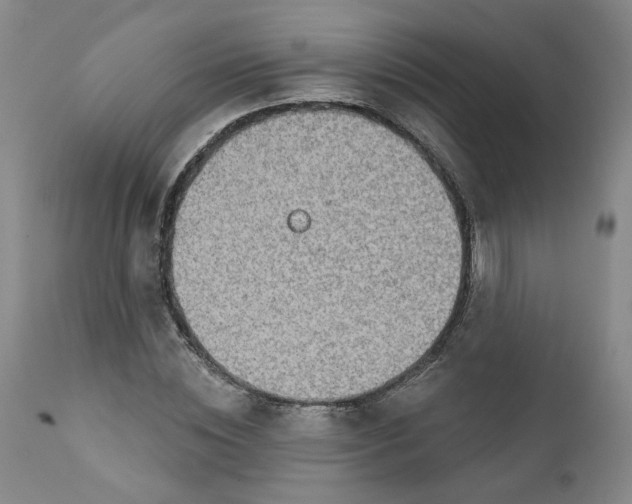 X0000112430828200909041434