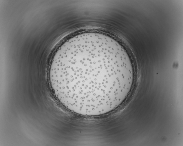 X0000112430829200909041434