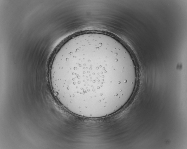 X0000112430830200909041434