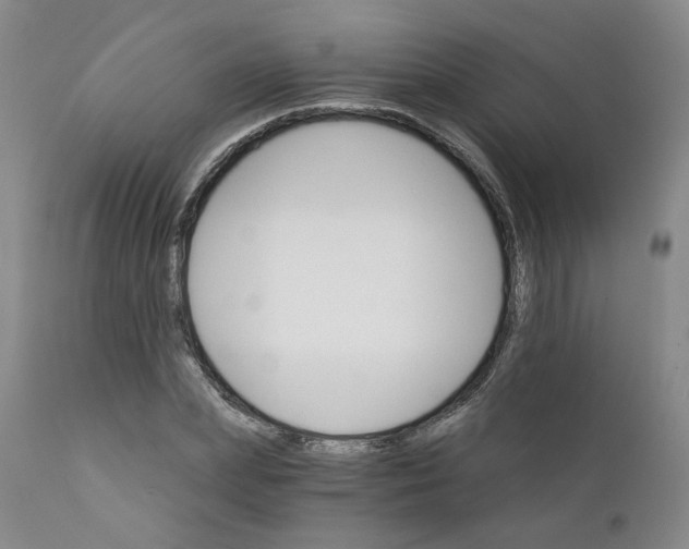 X0000112430831200909041434