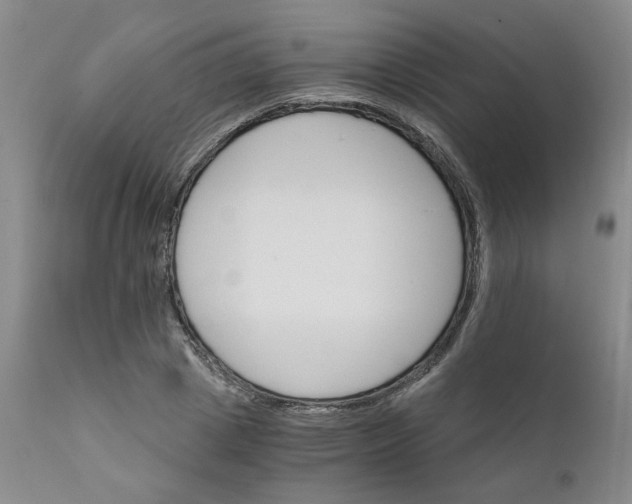 X0000112430833200909041434