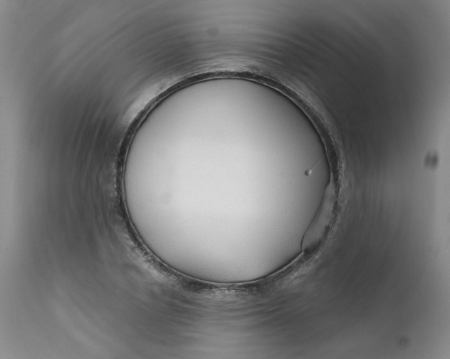 X0000112430834200909041434