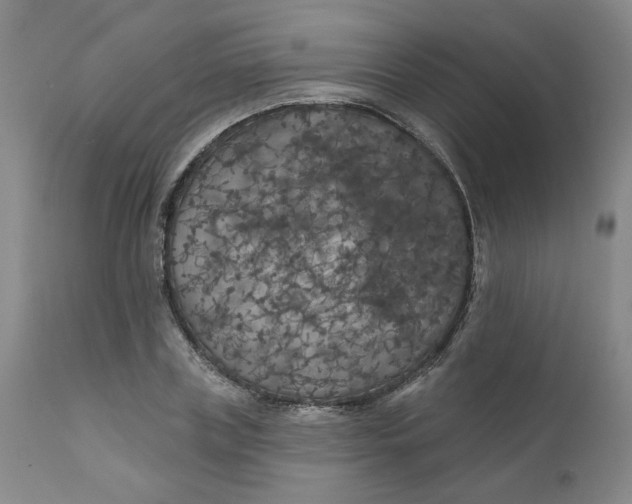 X0000112430835200909041434