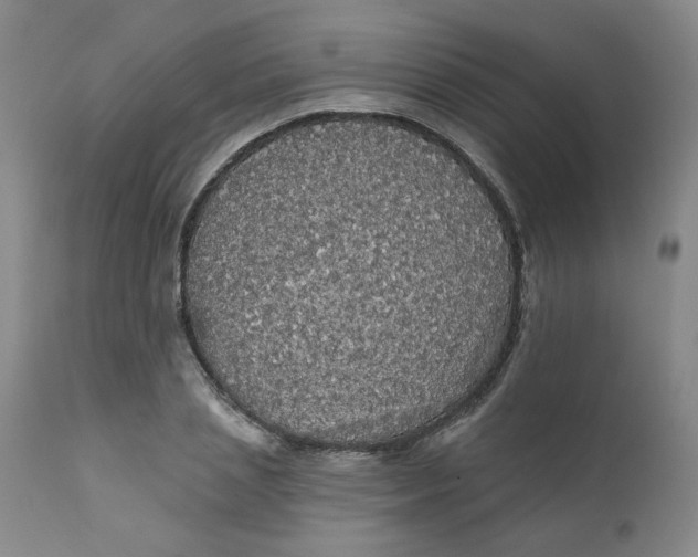 X0000112430837200909041434