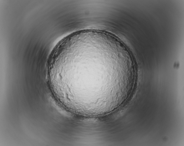 X0000112430838200909041434