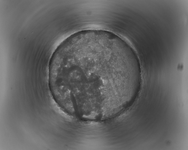 X0000112430839200909041434