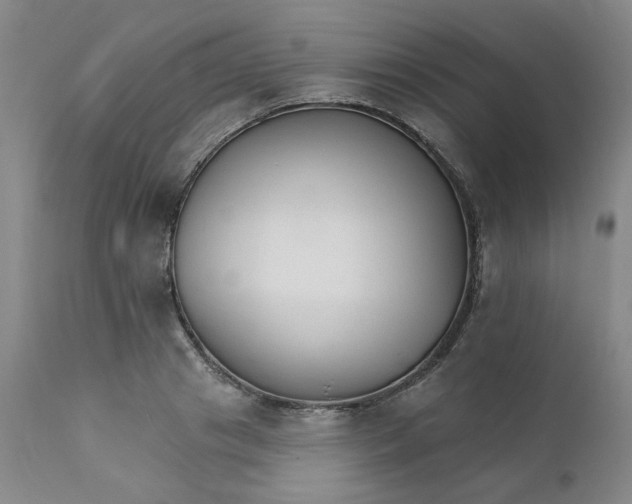 X0000112430841200909041434