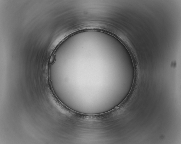 X0000112430842200909041434