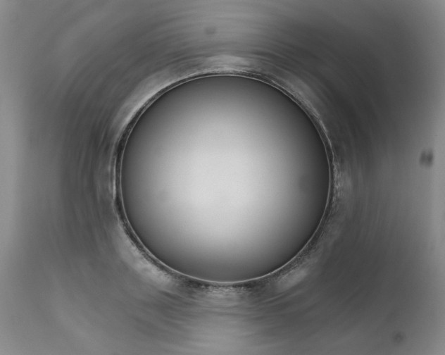 X0000112430843200909041434