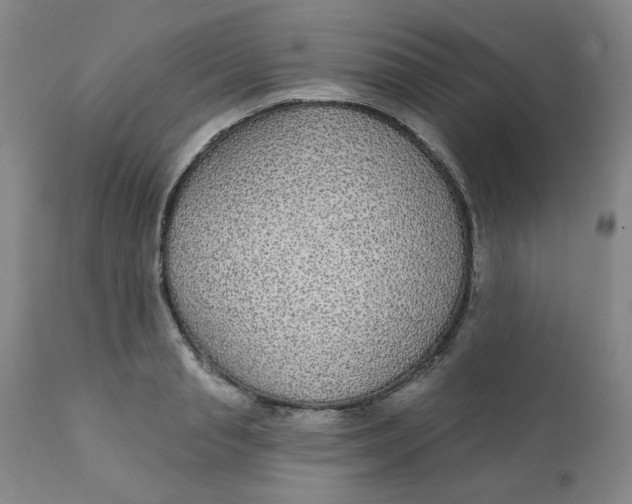 X0000112430845200909041434