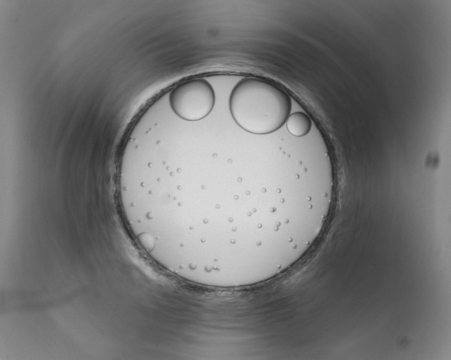 X0000112430846200909041434