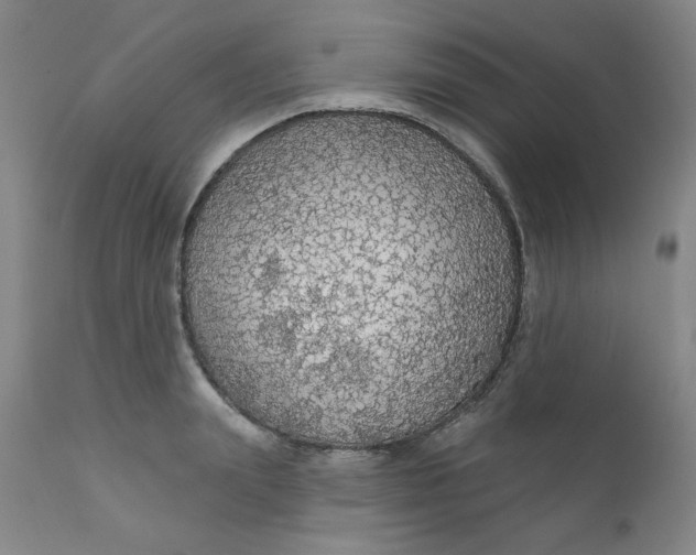 X0000112430847200909041434