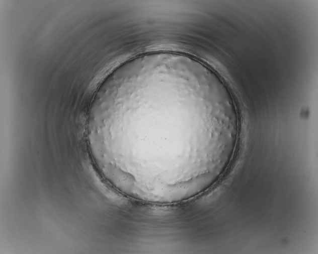 X0000112430849200909041434