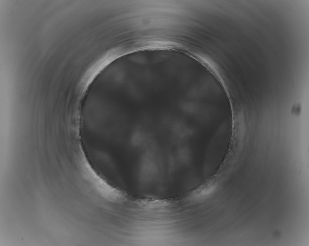 X0000112430851200909041434