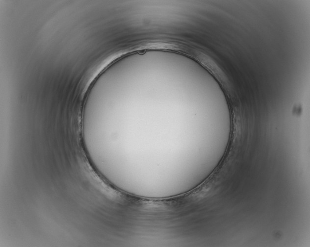 X0000112430852200909041434