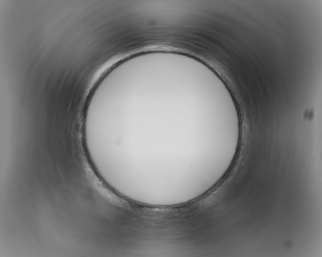 X0000112430854200909041434