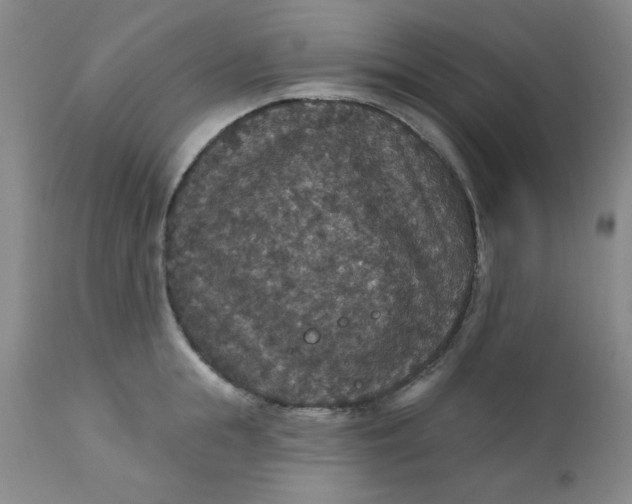 X0000112430855200909041434