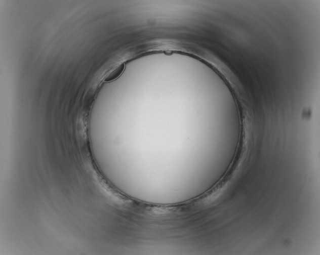 X0000112430857200909041434