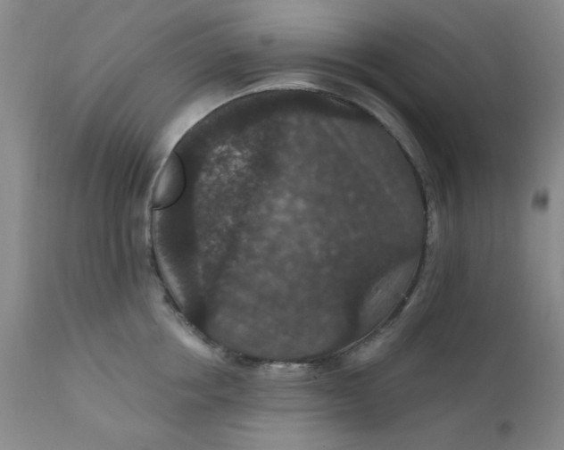 X0000112430858200909041434