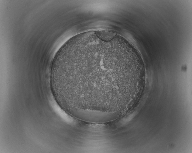 X0000112430859200909041434