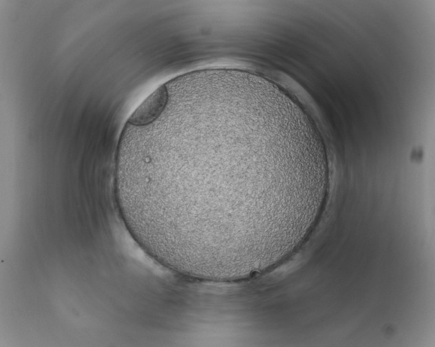 X0000112430860200909041434