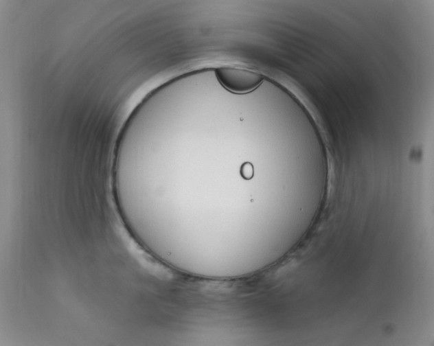 X0000112430861200909041434