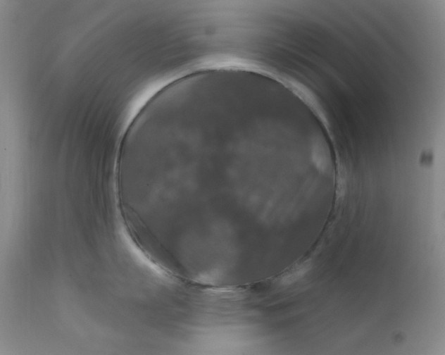 X0000112430863200909041434