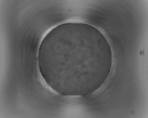 X0000112430864200909041434