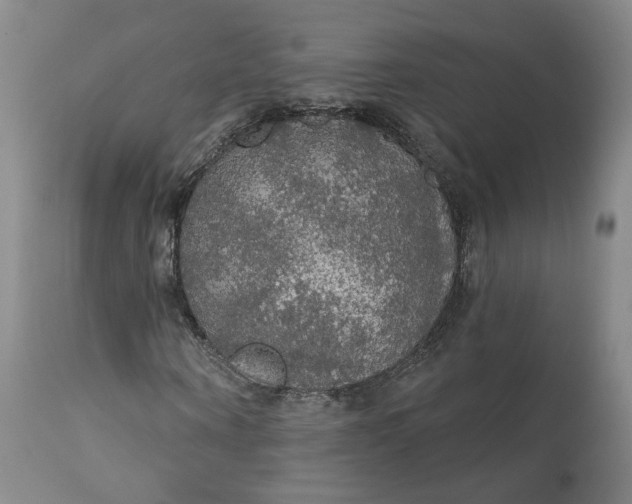 X0000112430866200909041434