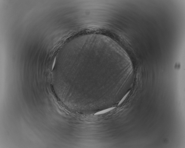 X0000112430868200909041434