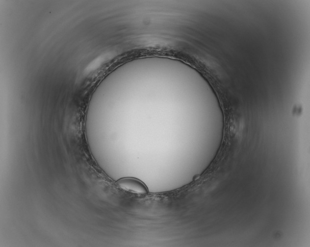 X0000112430869200909041434