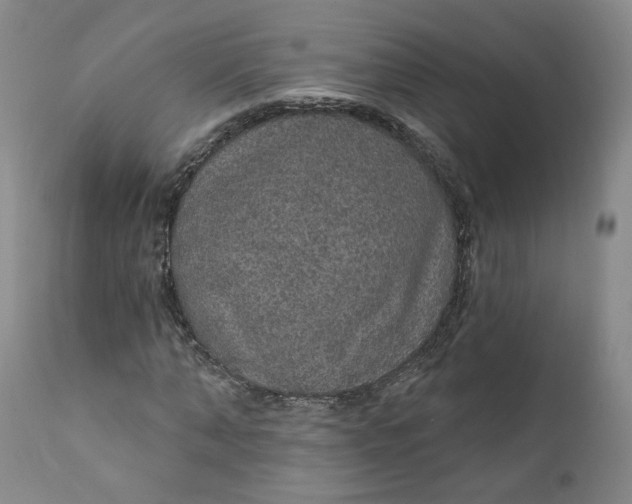 X0000112430870200909041434