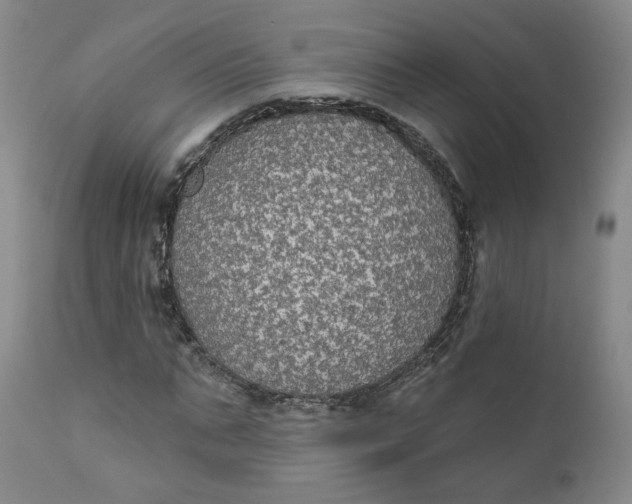 X0000112430871200909041434