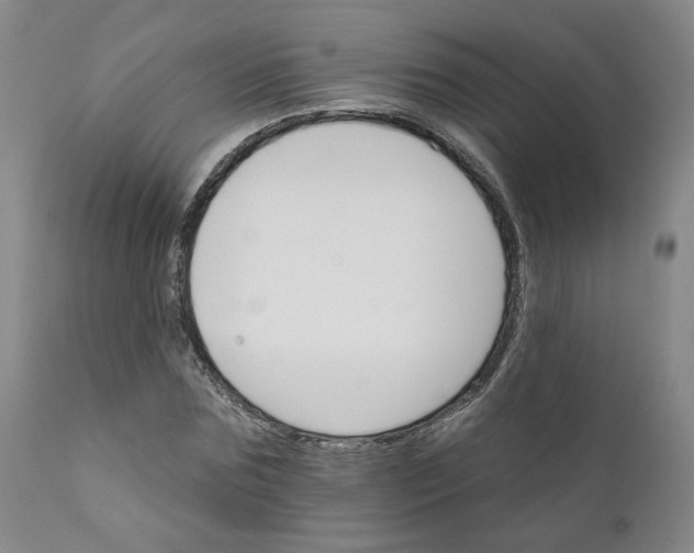 X0000112430875200909041433