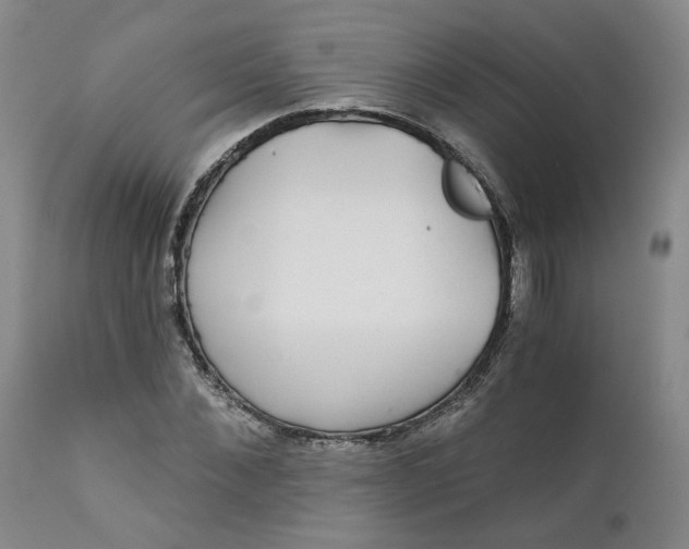 X0000112430876200909041433