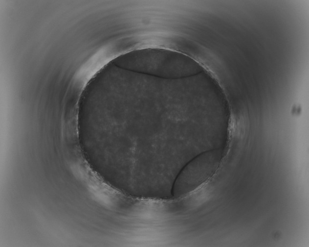 X0000112430877200909041433