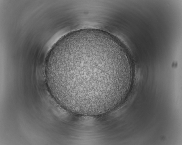 X0000112430878200909041433