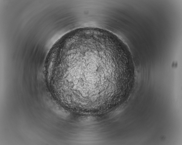 X0000112430879200909041433