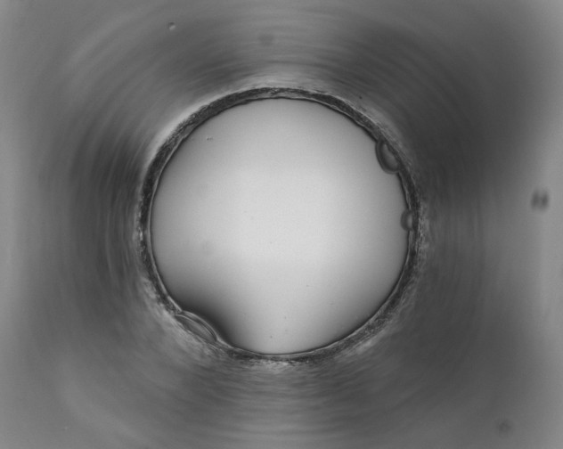 X0000112430880200909041433