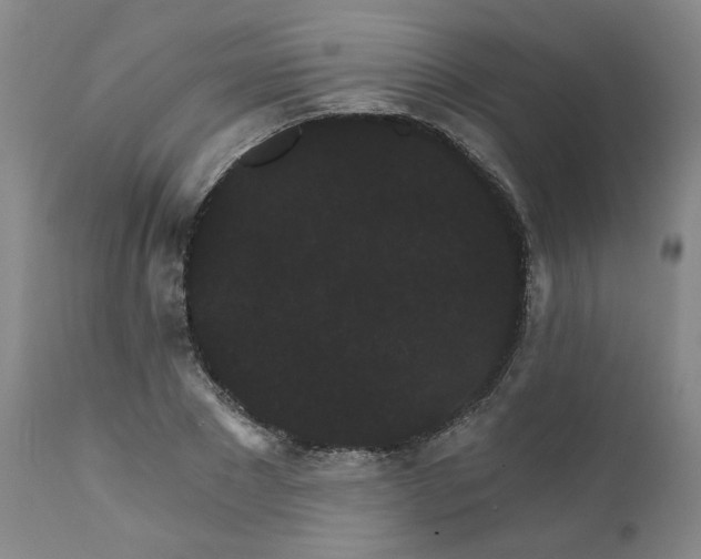 X0000112430881200909041433