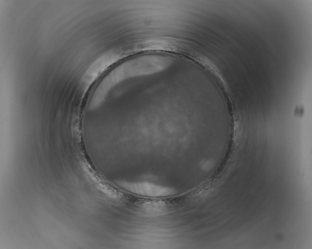 X0000112430882200909041433