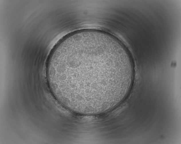 X0000112430883200909041433