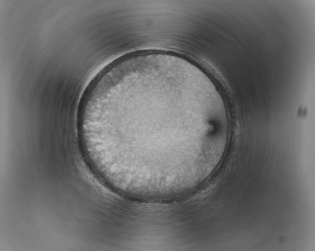 X0000112430884200909041433