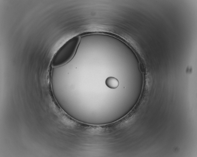 X0000112430885200909041433