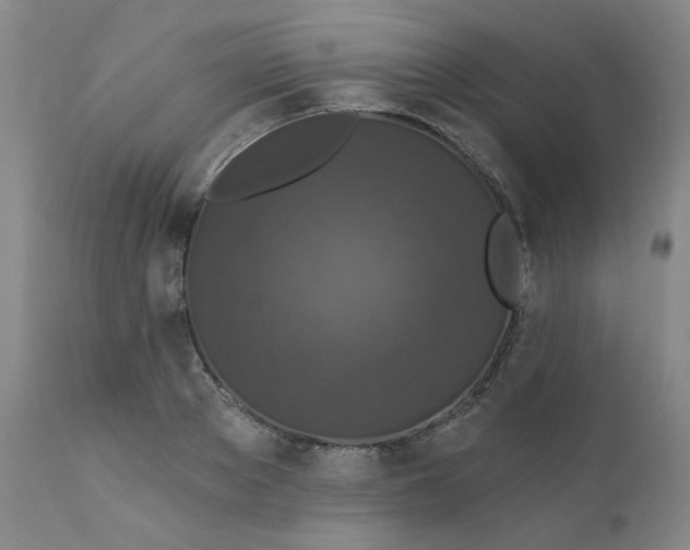 X0000112430889200909041433