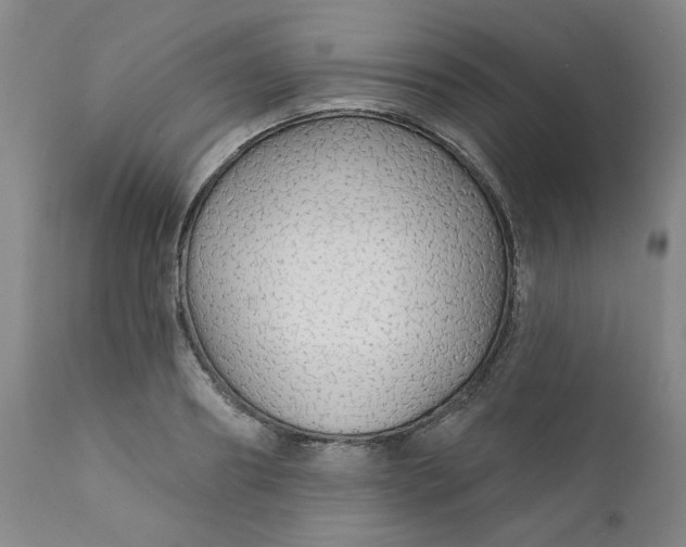 X0000112430890200909041433