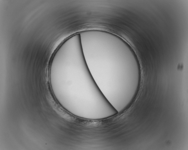 X0000112430891200909041433