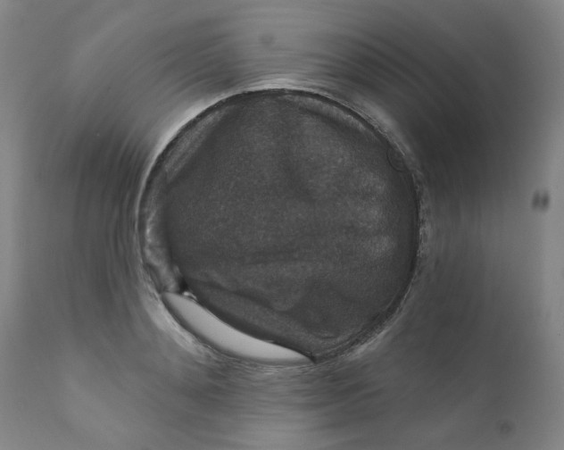 X0000112430892200909041433