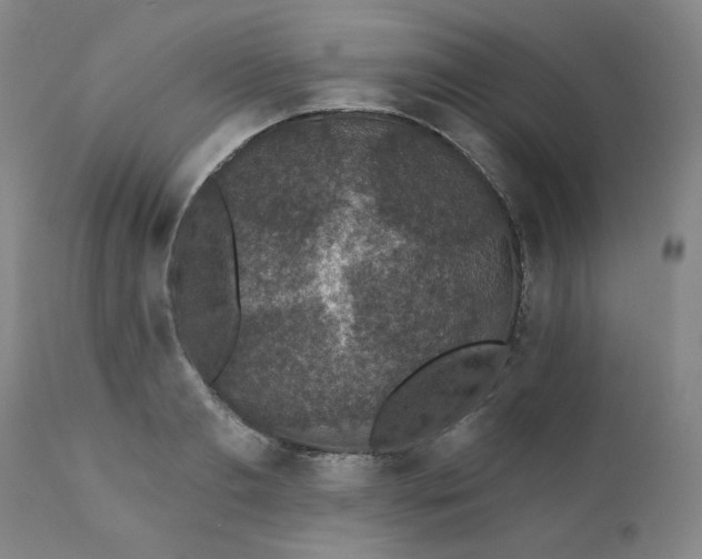 X0000112430893200909041433